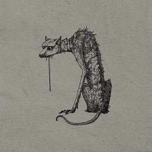 SOFIA ISELLA - Dog's Dinner Lyrics