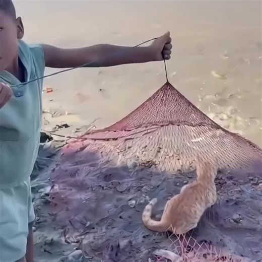 yda (@yda2______)’s videos with suara asli - yda