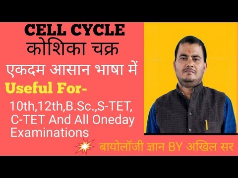 Cell Cycle, What is Cell Cycle