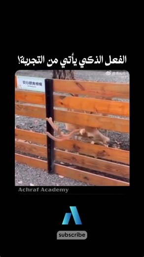 You Must Watch This Video | Smart Action Comes From Experience!