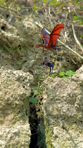 creative videography tutorial#shortvideo #creative #videography #short