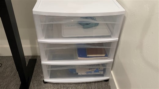 Watch What You Need to Know About this Storage Bin on Amazon Live