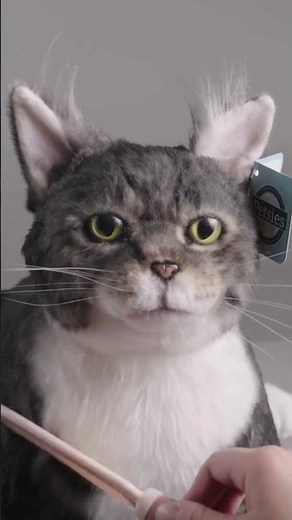 Making A Custom Cat Stuffed Animal | MyPetsies©