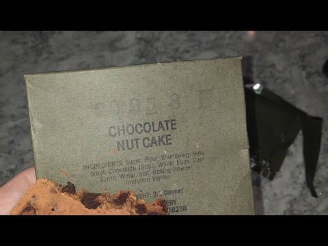 43 Year Old US MRE Chocolate Nut Cake (1982)