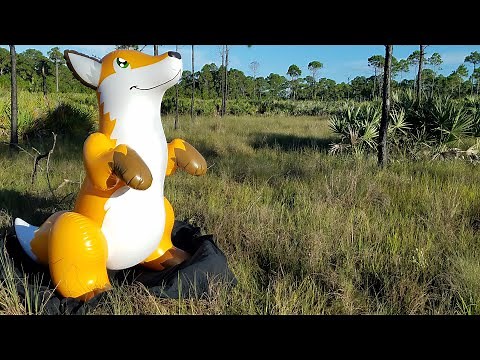 Cute Cuddly Fox Inflatable from Puffy Paws Toys
