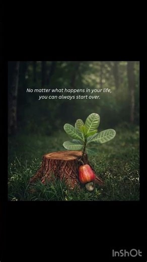 “Starting over isn’t failure-it’s courage in motion”#habitsthatchangeyourlife #lifechanging