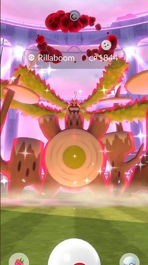 Can We Catch A Shiny G-Max Rillaboom For Our First Shiny Grass Type Max Pokemon?!?!? #pokemongo