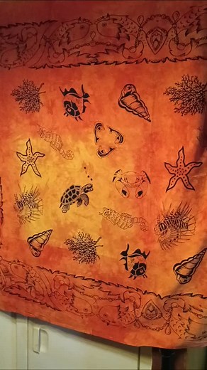 Jason Nelson on Reels