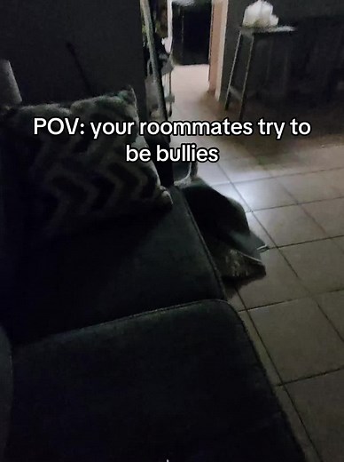 they got the RIGHTone todayyy!!! how you THAT bothered by my meta glasses. I wish yall could’ve seen how they was poppin it before i put the glasses on 😂😂😂😂 #fyp #drama #messy #roomates #bully