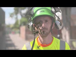 What is a Tree Reduction? Carrying out a reduction on an Ash Tree.