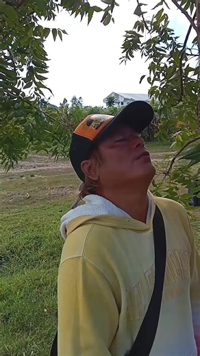 Kumpulan Video Lucu yang Bikin Ngakak