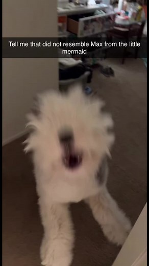 GabigailEdwards on TikTok