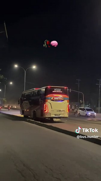 #fyp #fypシ゚viral #busmania #storybus #ayonaikbus