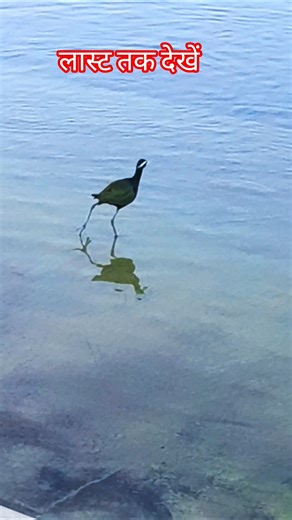 So High |Official Music Video |SIdhu Moose Wala ft.BYG BYRDI |Humble Music