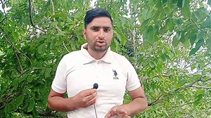 غریب لوگوں کے ساتھ انصاف ہونا چاہیے 2021 اور 2022 کا مٹیریل کا پیسہ پنچائیت کے وینڈر کے اکاؤنٹ میں ایا ہے مگر وہ پیسہ غریب لوگوں تک نہیں پہنچ رہا ضلع انتظامیہ راجوری سے گزارش ہے کہ ان لوگوں کے ساتھ انصاف کیا جائے | Diem News India