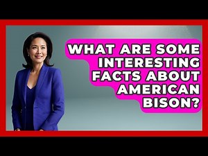 What Are Some Interesting Facts About American Bison? - The Wild Life Explorer