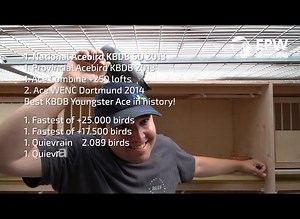 Only 2 more days... Now online at European Pigeon Webiste: The super collection Dirk van den Bulck and Leo Heremans breeders of Flanders Collection! Visit: https://www.epw-eu.com | European Pigeon Website