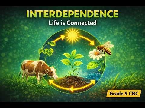 How Living Things Depend on Each Other | Interdependence (Grade 9 CBC Intergrated Science)-Lesson 29
