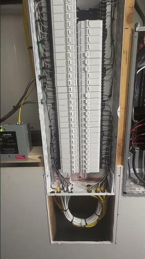 Leviton Smart Panel 1080p