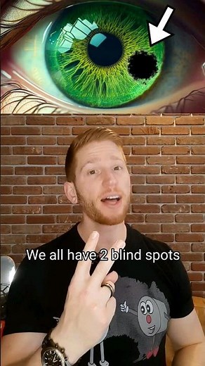 Why We Have Blind Spots in Our Vision 👀