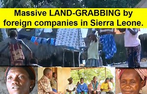 8.8K views · 231 reactions | SIERRA LEONE:-Massive LAND-GRABBING by...