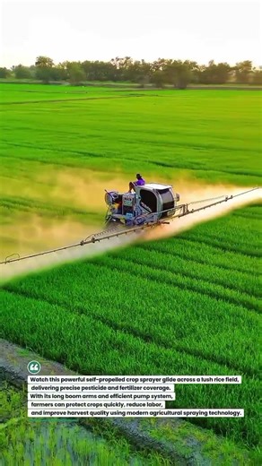 Smart Rice Field Sprayer Machine in Action 🚜🌾 #FarmTech #AgriMachine #SmartFarming