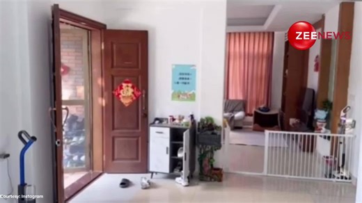 VIRAL VIDEO: Dogs Lead Pants-less Man on the Funniest Walk Ever