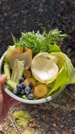 Mario S Tabraue on Instagram: "Phillip is always eating good 😊 Colobus monkeys are mainly leaf eaters. They also love a variety of fruits and vegetables…….. 🥬🥕🥦🧅🍇 #colobusmonkey #bags #fundraiser #wildlife #nature"