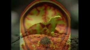 Experts Examine How Brain Makes Economic Decisions