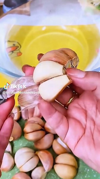 Essentials for a Better Daily Life