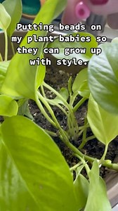 Home Gardening on Instagram: "this is really good #gardening #garden #gardeningtips #gardenlife #gardeninspiration #gardenideas #gardenlove #gardendesign #gardenersofinstagram #gardenersworld #garden_styles #gardenphotography #gardenlovers #gardenerslife #gardenart #gardenbeauty #gardensofinstagram #gardenplants #gardenviews #gardenersparadise #gardenista #gardeningcommunity #gardenloversclub #gardenaddict #gardeners #gardenerslife"