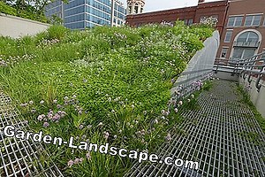 Landscaping: Costs and ideas for a green roof - roof greening | 2025
