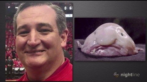 Ted Cruz wins Blobfish Basketball Classic