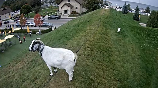 Missing Door County? Watch these live webcams from wherever you are - Door County Shore Report