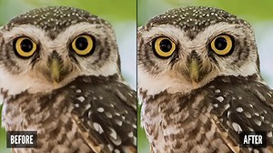 8.1K views · 554 reactions | Why Use Gigapixel AI? ✔️ Recover real details for actual sharpness ✔️ Crisp photos that look like they were never upscaled ✔️ The highest-quality image upscaling that you can get anywhere On sale today!  Get Gigapixel AI for $79.99 only from $99.99 regular price. Buy now and save $20  topazlabs.com/gigapixel-ai | Topaz Labs | Facebook