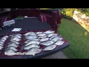 Crappie Mayhem! Fishing for crappie and striped bass in West Point lake