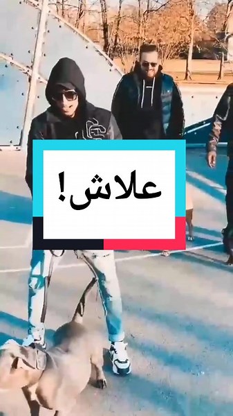 #tunisia #باب_جديد #rap_tunisia #algeria #libya #sniper_mc #sniper_mc_off #rap_tn #rap_dz