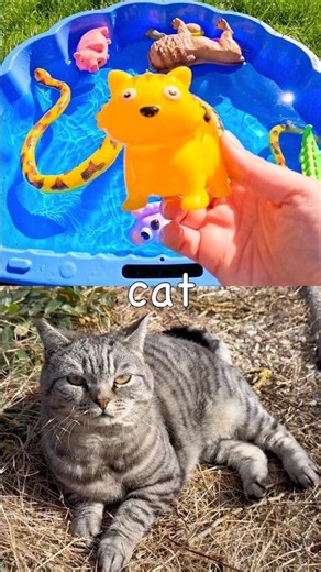 Animal Names | Kids Learn with Toys: Rhino Capybara Cat Gorilla Sheep