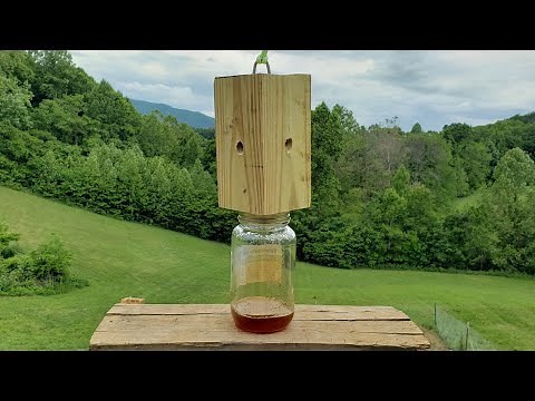 Carpenter Bee Trap DIY