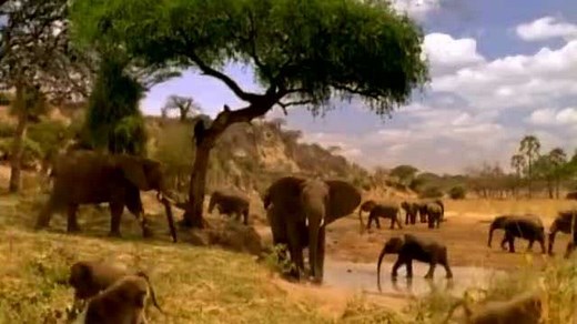 Michael Jackson - Earth Song