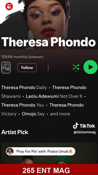 Top 5 International Pangolin Artists from Malawi