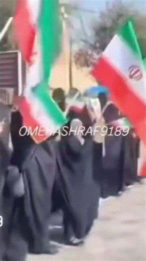 Iranians have formed a human chain in front power plants and over bridges following