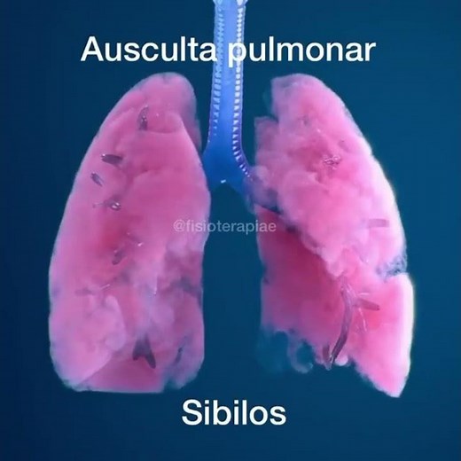 Tipos de ausculta pulmonar #ausculta #pulmão #enfermagem #enf