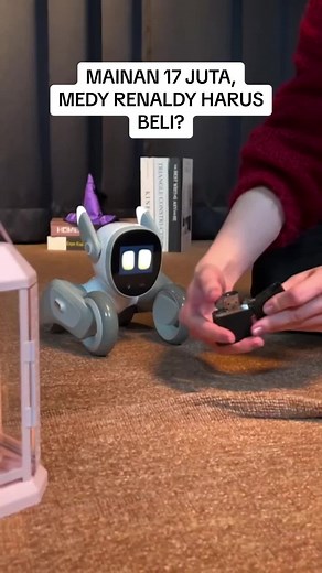 Harga Loona Robot Canggih 17 Juta di Malaysia