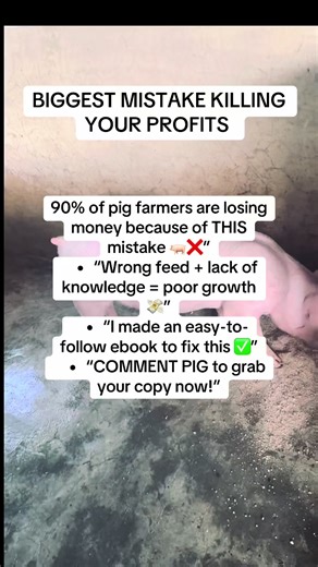 1. 90% of pig farmers are losing money because of THIS mistake 2.
