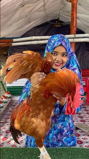 Mahi ￼Kitchen 9 Desi Chicken Recipe #shorts #desichicken #recipe #cooking #food ￼