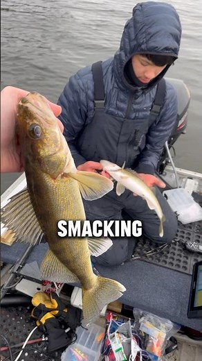 DELICIOUS Catch and Cook WALLEYE Edition!