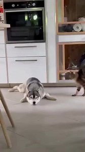 😎😎 | Pretty things