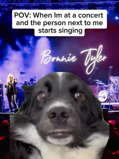 #Meme #concert #singing #live #comedy