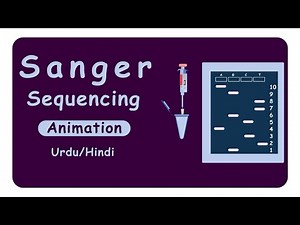 Sanger Sequencing | DNA sequencing | Dideoxy method of DNA sequencing | Animation
